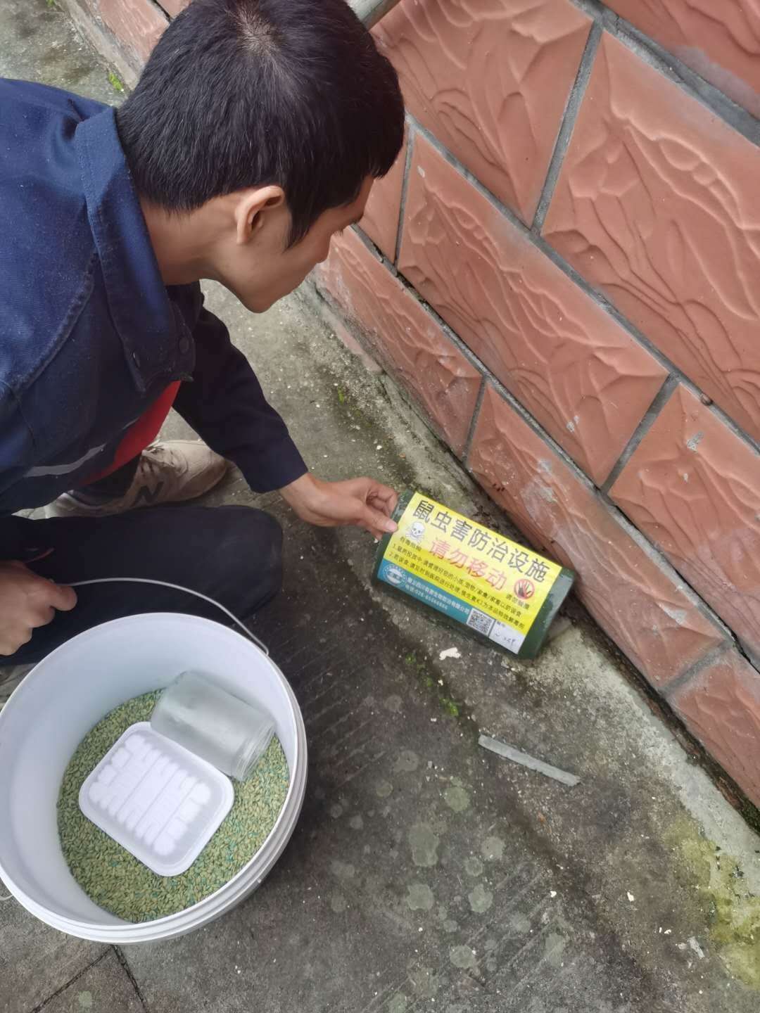 眉山除四害